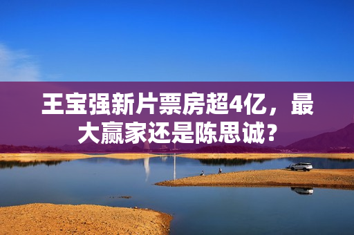 王宝强新片票房超4亿，最大赢家还是陈思诚？