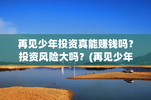 再见少年投资真能赚钱吗？投资风险大吗？(再见少年投资真的假的)