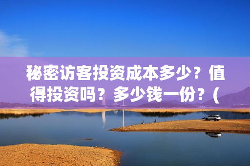 秘密访客投资成本多少？值得投资吗？多少钱一份？(秘密访客总投资)