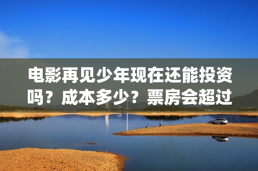电影再见少年现在还能投资吗？成本多少？票房会超过我的姐姐吗？(电影再见少年真实事件原型)