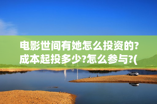 电影世间有她怎么投资的?成本起投多少?怎么参与?(《世间有她》)