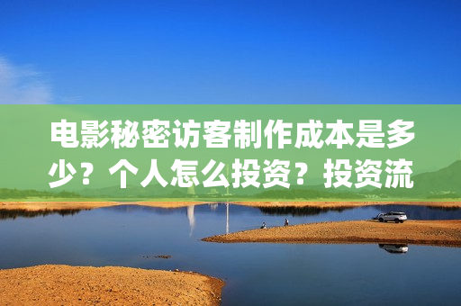 电影秘密访客制作成本是多少？个人怎么投资？投资流程是什么？(电影“秘密访客”)