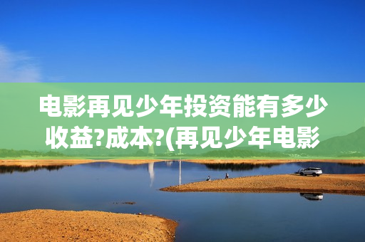 电影再见少年投资能有多少收益?成本?(再见少年电影百度百科)