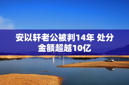 安以轩老公被判14年 处分金额超越10亿
