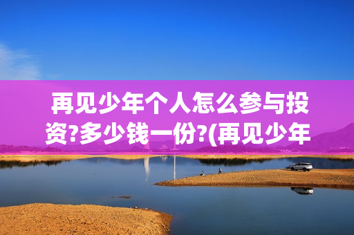  再见少年个人怎么参与投资?多少钱一份?(再见少年mv)