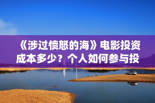 《涉过愤怒的海》电影投资成本多少？个人如何参与投资？投资优势有哪些？(涉过愤怒的海剧情解析)
