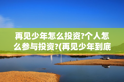 再见少年怎么投资?个人怎么参与投资?(再见少年到底怎么了)