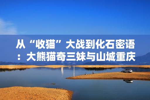 从“收猫”大战到化石密语：大熊猫奇三妹与山城重庆的生命回响