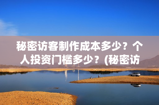 秘密访客制作成本多少？个人投资门槛多少？(秘密访客是什么类型)