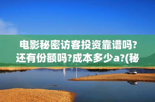 电影秘密访客投资靠谱吗?还有份额吗?成本多少a?(秘密访客电影名)