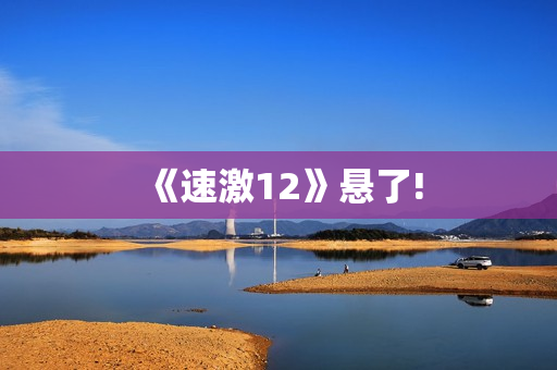 《速激12》悬了!