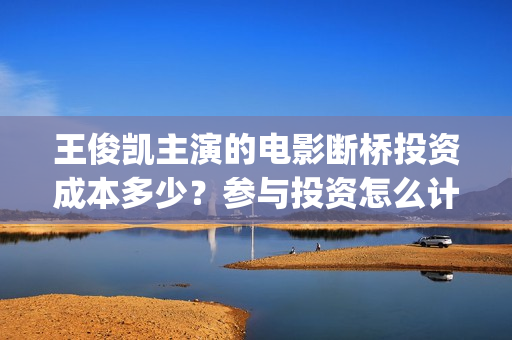 王俊凯主演的电影断桥投资成本多少？参与投资怎么计算收益分红？(王俊凯主演的电视剧)