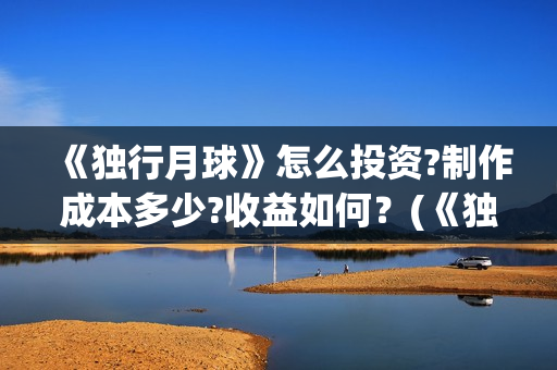 《独行月球》怎么投资?制作成本多少?收益如何？(《独行月球》怎么拍的)