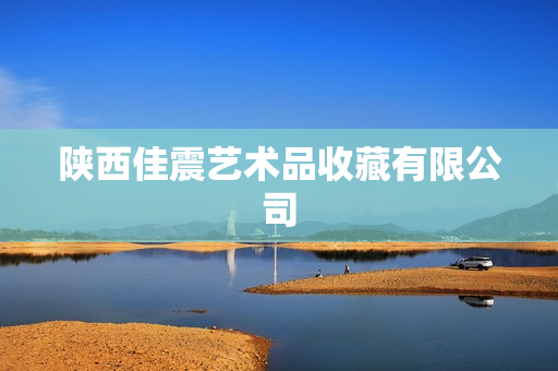 陕西佳震艺术品收藏有限公司