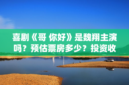 喜剧《哥 你好》是魏翔主演吗？预估票房多少？投资收益有前景吗？(鹩哥你好)