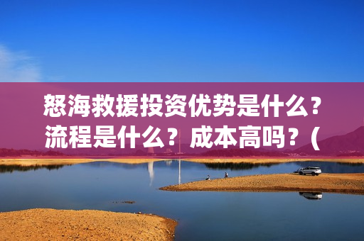 怒海救援投资优势是什么？流程是什么？成本高吗？(《怒海救援》)
