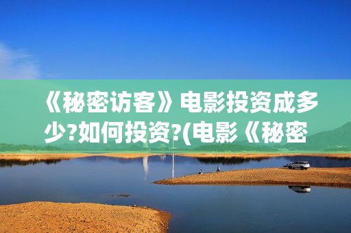 《秘密访客》电影投资成多少?如何投资?(电影《秘密访客》)