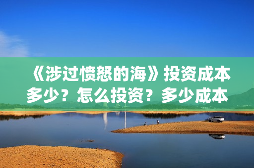 《涉过愤怒的海》投资成本多少？怎么投资？多少成本？(涉过愤怒的海周依然做出的牺牲)