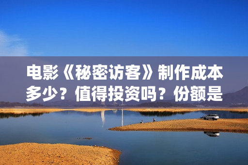 电影《秘密访客》制作成本多少？值得投资吗？份额是真实的吗？(电影《秘密访客》演员表)