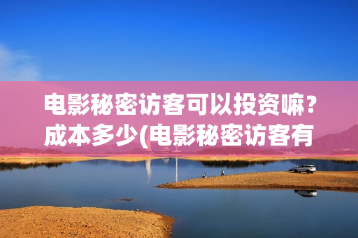 电影秘密访客可以投资嘛？成本多少(电影秘密访客有彩蛋)