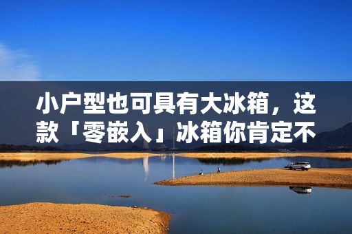 小户型也可具有大冰箱,这款「零嵌入」冰箱你肯定不看一看? 小户型也可具有大冰箱,这款「零嵌入」冰箱你肯定不看一看?