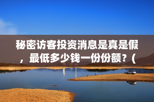 秘密访客投资消息是真是假，最低多少钱一份份额？(秘密访客自首)