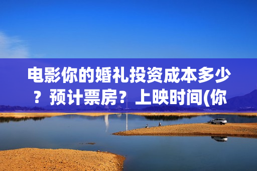 电影你的婚礼投资成本多少？预计票房？上映时间(你的婚礼电影讲解)