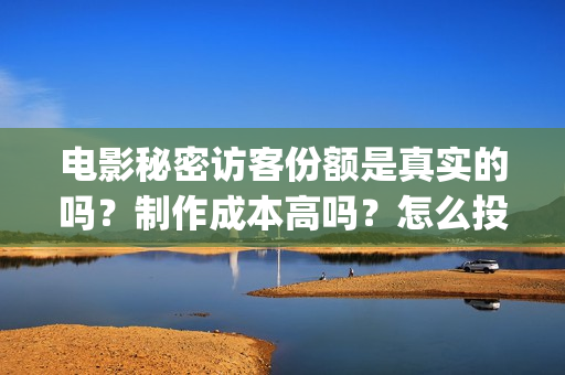 电影秘密访客份额是真实的吗？制作成本高吗？怎么投资？(秘密访客电影啥意思)