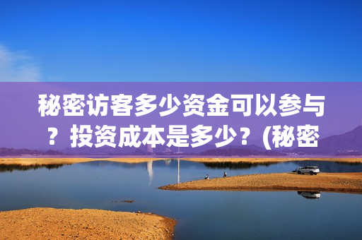 秘密访客多少资金可以参与？投资成本是多少？(秘密访客多少分钟)