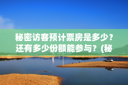 秘密访客预计票房是多少？还有多少份额能参与？(秘密访客预售)