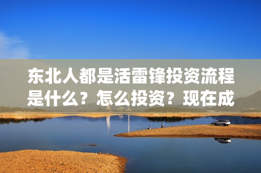东北人都是活雷锋投资流程是什么？怎么投资？现在成本是多少？(东北人都是活雷锋动画版)