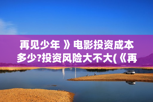 再见少年 》电影投资成本多少?投资风险大不大(《再见少年》)