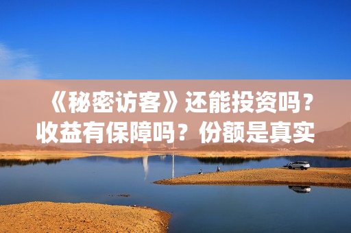 《秘密访客》还能投资吗？收益有保障吗？份额是真实的吗？(秘密访客演的什么玩意)