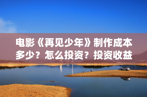 电影《再见少年》制作成本多少？怎么投资？投资收益怎么算？(再见少年电影演员)