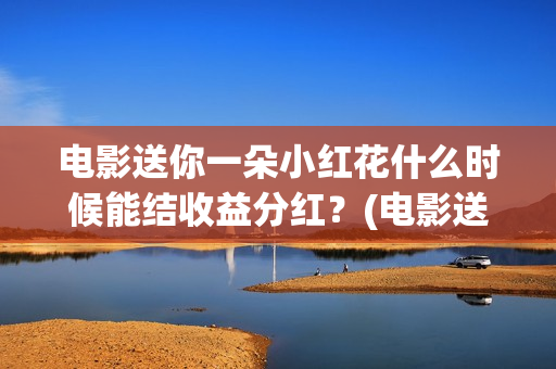 电影送你一朵小红花什么时候能结收益分红？(电影送你一朵小红花讲述的主题是抗癌吗)