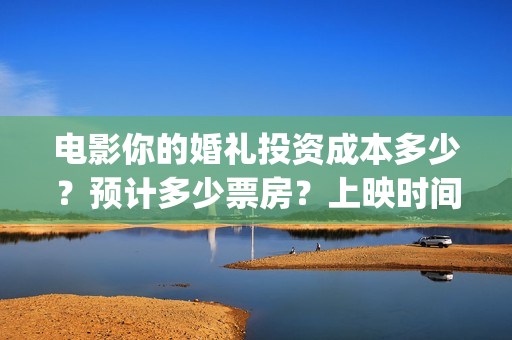 电影你的婚礼投资成本多少？预计多少票房？上映时间(电影你的婚礼购票)