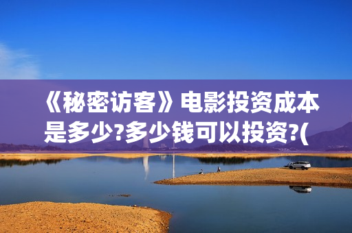《秘密访客》电影投资成本是多少?多少钱可以投资?(秘密访客2021电影)