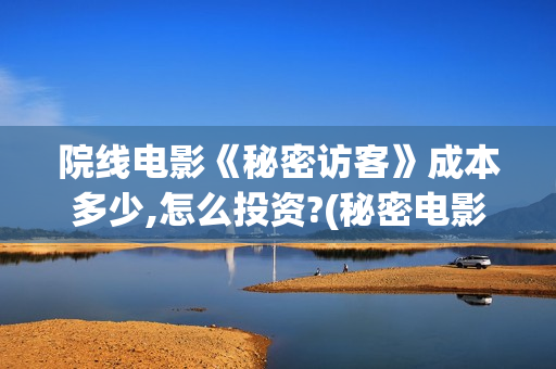 院线电影《秘密访客》成本多少,怎么投资?(秘密电影百度百科)