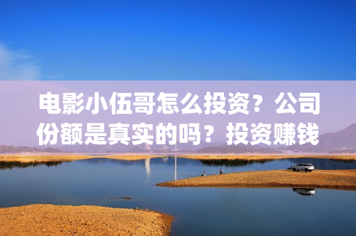 电影小伍哥怎么投资？公司份额是真实的吗？投资赚钱吗？(电影小伍哥预估票房)