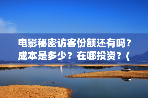 电影秘密访客份额还有吗？成本是多少？在哪投资？(电影秘密访客深度解析)