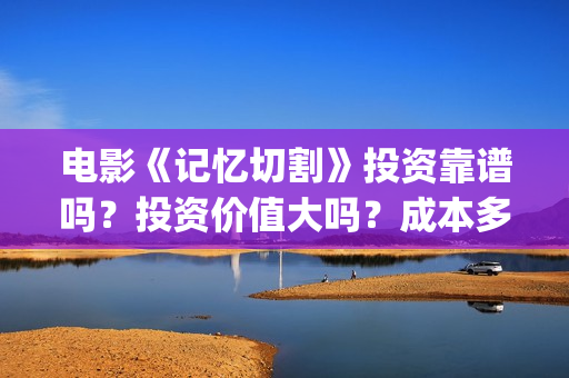 电影《记忆切割》投资靠谱吗？投资价值大吗？成本多少？ (记忆切割演的什么)