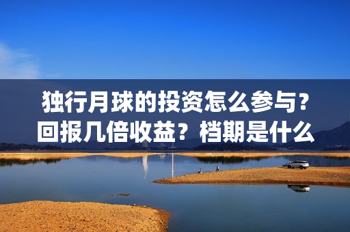 独行月球的投资怎么参与？回报几倍收益？档期是什么时候？(独行月球投资方)
