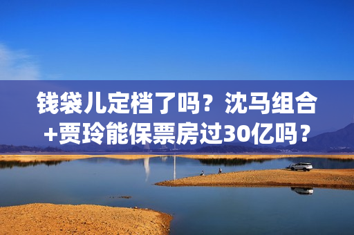 钱袋儿定档了吗？沈马组合+贾玲能保票房过30亿吗？投资门槛多少？(钱袋子app是什么)