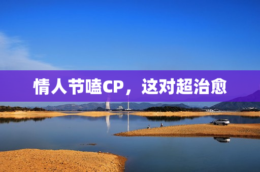 情人节嗑CP，这对超治愈