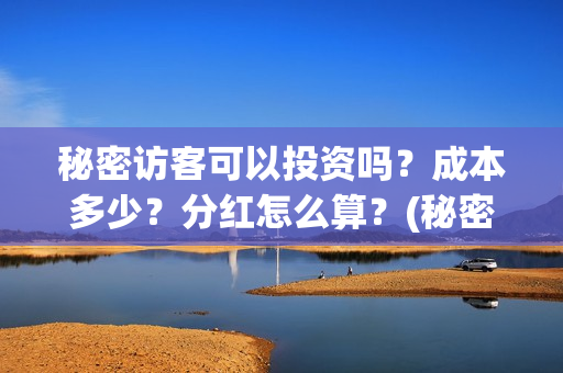 秘密访客可以投资吗？成本多少？分红怎么算？(秘密访客不适合)