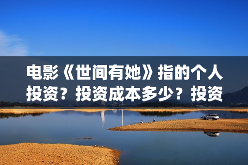 电影《世间有她》指的个人投资？投资成本多少？投资收益周期多久？(世间有她电影宣发)