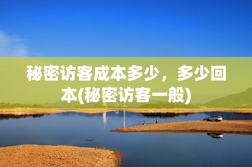 秘密访客成本多少，多少回本(秘密访客一般)