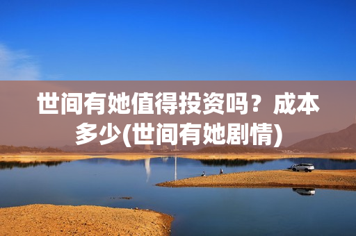 世间有她值得投资吗？成本多少(世间有她剧情)