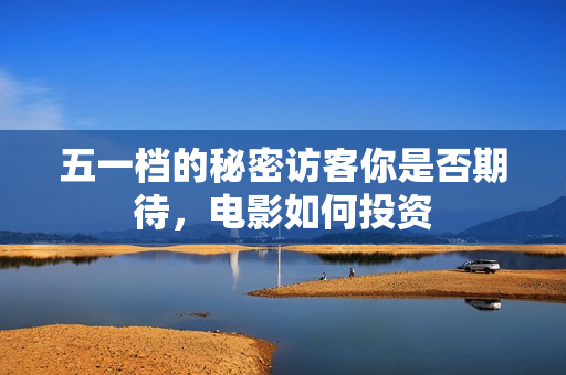 五一档的秘密访客你是否期待，电影如何投资