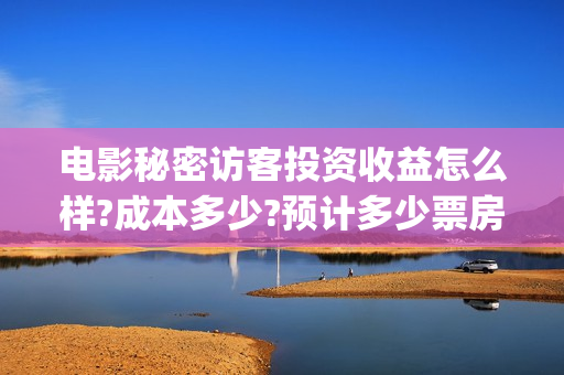 电影秘密访客投资收益怎么样?成本多少?预计多少票房?(秘密访客电影投资效果价目表)